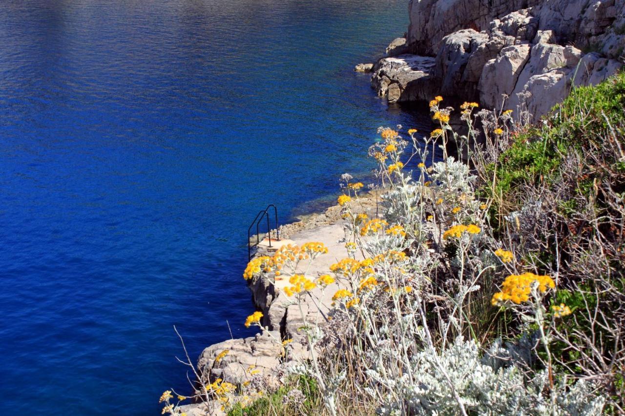 Apartments With A Parking Space Veli Losinj, Losinj - 8029 المظهر الخارجي الصورة
