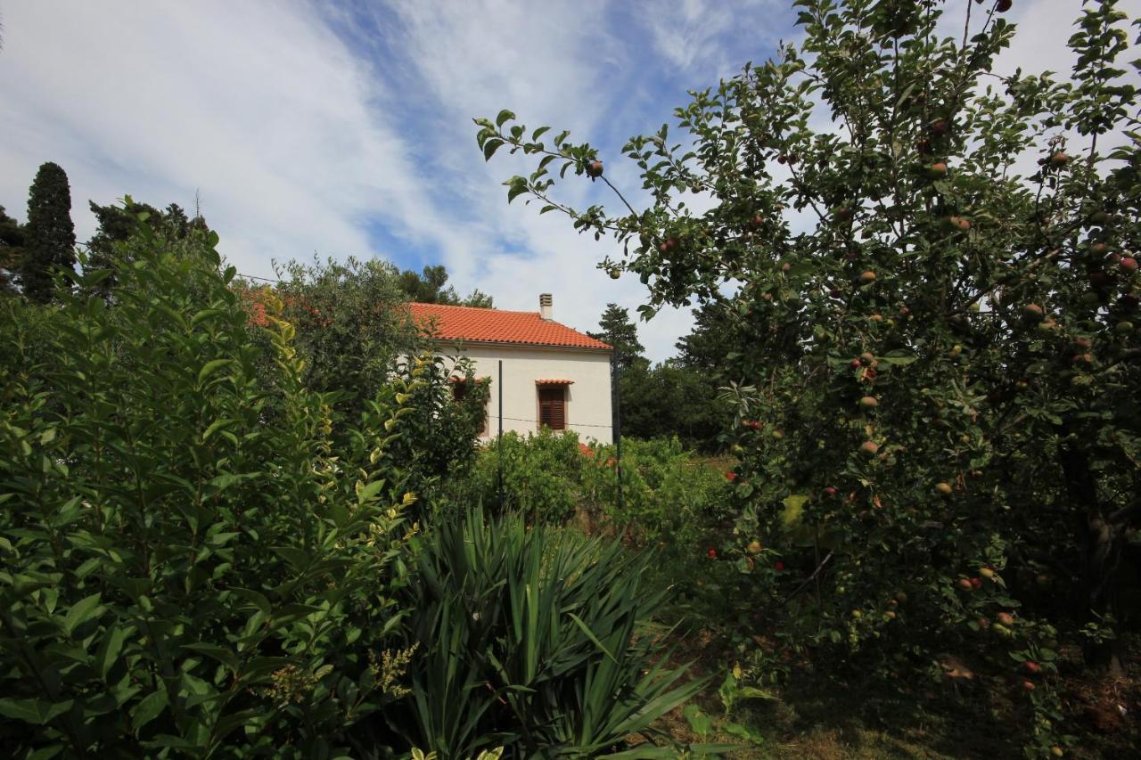Apartments With A Parking Space Veli Losinj, Losinj - 8029 المظهر الخارجي الصورة